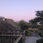 IMG_7795.jpeg
