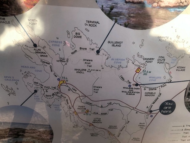 The next day, 12/29, we went to Point Lobos
