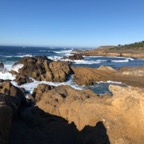 IMG_6286.jpeg