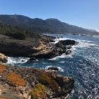 IMG_6293.jpeg