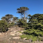 IMG_6305.jpeg