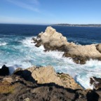 IMG_6306.jpeg