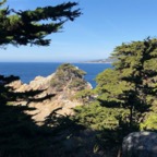 IMG_6308.jpeg