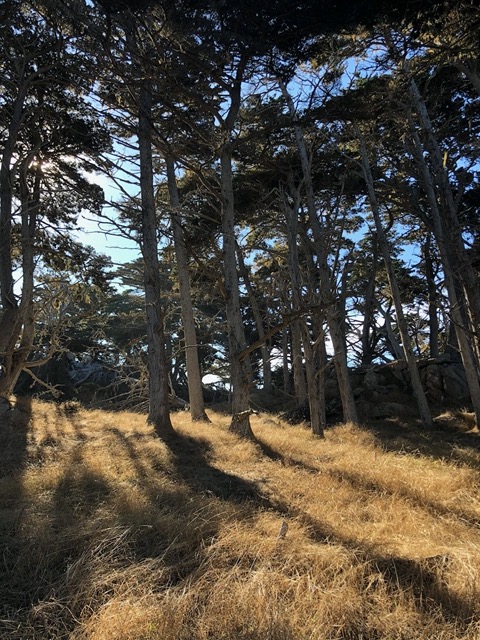 Long shadows, though it's only noon