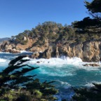 IMG_6310.jpeg