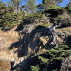 IMG_6311.jpeg