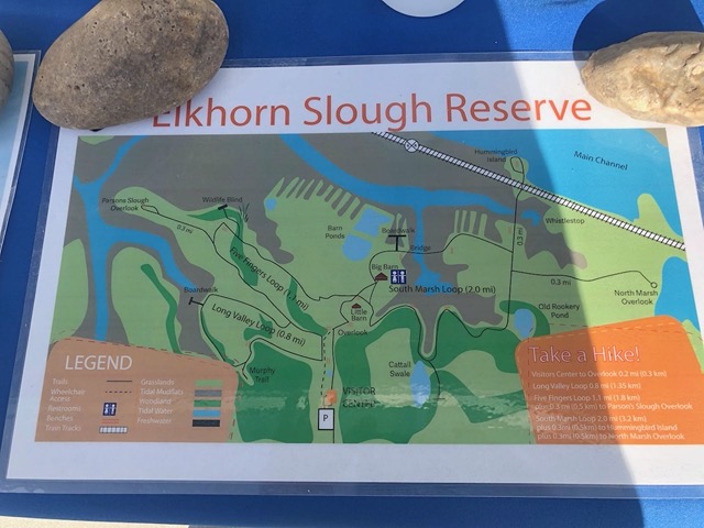 On 12/30 we went to Elkhorn Slough and did almost every hike