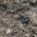 IMG_6326.jpeg