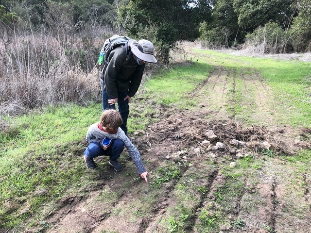 Owen examining tracks and making deductions