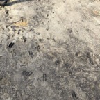 IMG_6330.jpeg