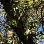 IMG_6336.jpeg