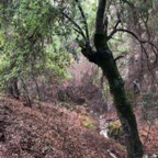 IMG_6367.jpeg