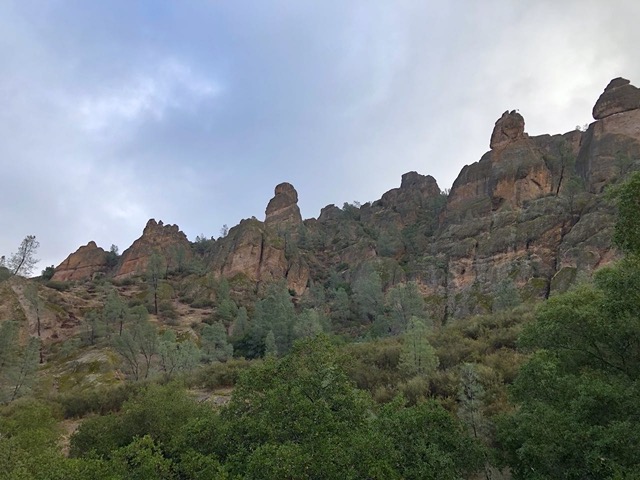A condor, second peak from the right