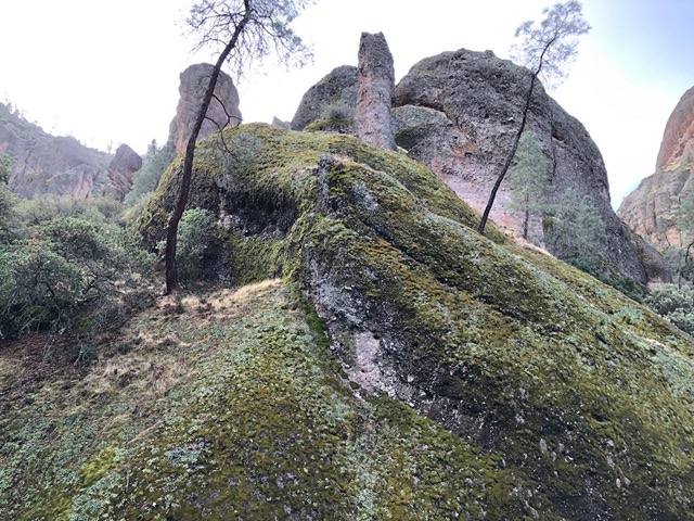 Moss covered rocks