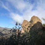 IMG_6388.jpeg