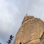 IMG_6389.jpeg