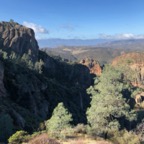 IMG_6401.jpeg