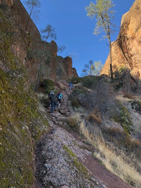 Climbing up