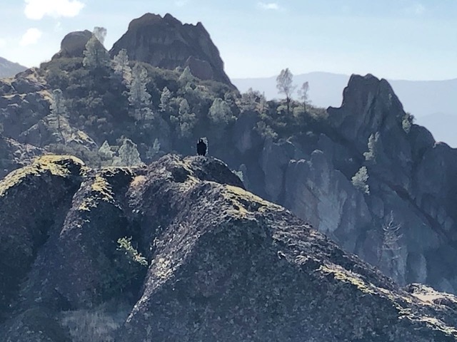 Closer condor!