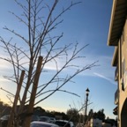 IMG_6490.jpeg