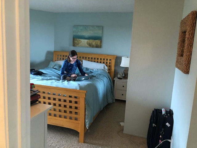 Lela doing a meeting via laptop in our bedroom